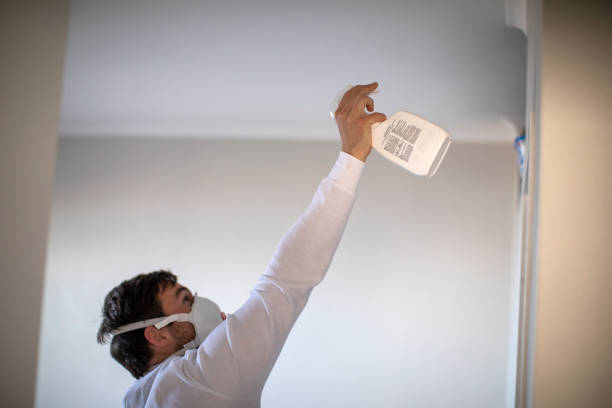 Best Mold Remediation for Specific Building Types in Parsons, KS