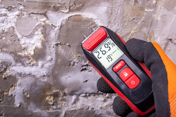 Professional Mold Remediation in Parsons, KS