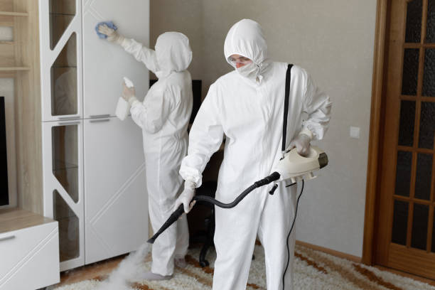 Best Localized Mold Remediation (e.g., coastal areas, humid climates) in Parsons, KS